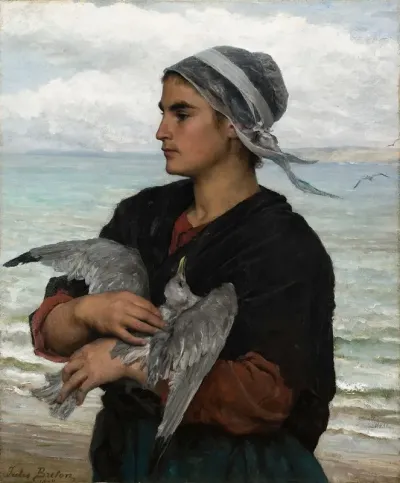 The Wounded Seagull