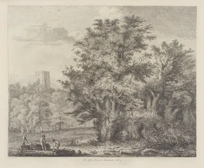 The Yew Trees At Fountains Abbey