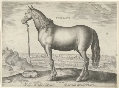 Thessalus