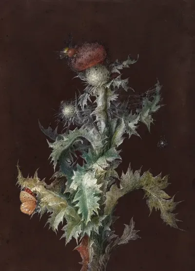Thistle With Insects