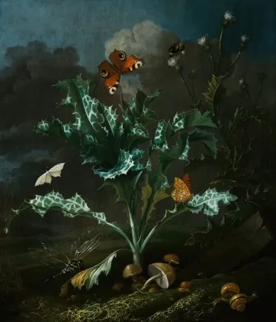 Thistles And Butterflies