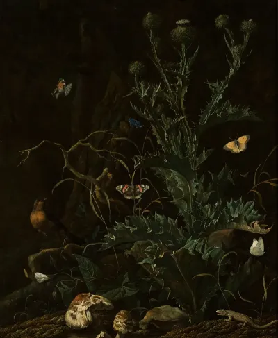 Thistles Butterflies And A Lizard