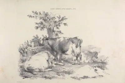 Thomas Sydney Coopers Cattle Subjects Pl 02