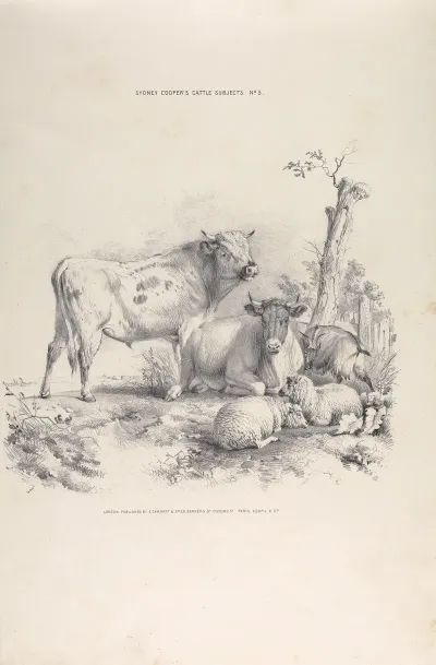 Thomas Sydney Coopers Cattle Subjects Pl 03