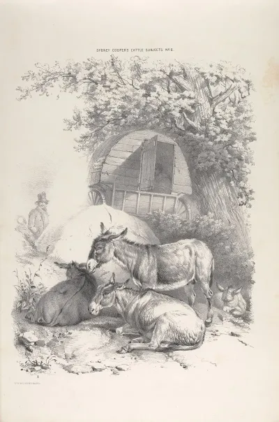 Thomas Sydney Coopers Cattle Subjects Pl 06
