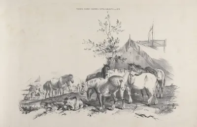 Thomas Sydney Coopers Cattle Subjects Pl 08