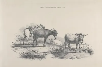 Thomas Sydney Coopers Cattle Subjects Pl 10