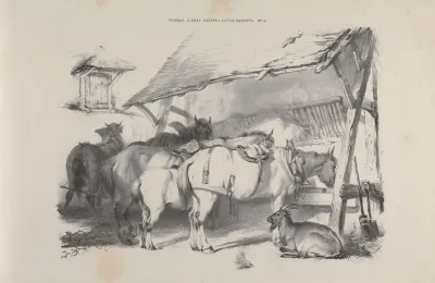 Thomas Sydney Coopers Cattle Subjects Pl 12