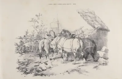 Thomas Sydney Coopers Cattle Subjects Pl 20