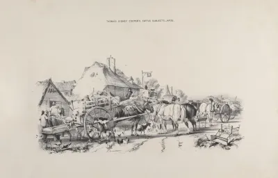 Thomas Sydney Coopers Cattle Subjects Pl 25