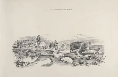 Thomas Sydney Coopers Cattle Subjects Pl 27
