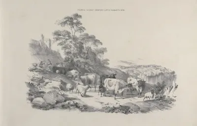 Thomas Sydney Coopers Cattle Subjects Pl 28