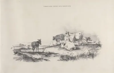 Thomas Sydney Coopers Cattle Subjects Pl 29