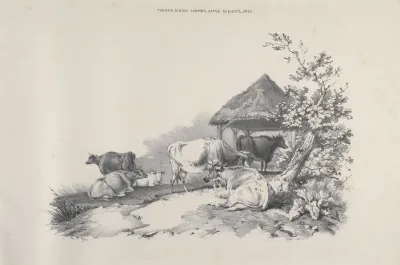 Thomas Sydney Coopers Cattle Subjects Pl 30