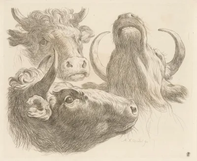 Three Cow Heads