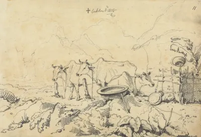 Three Cows Tethered