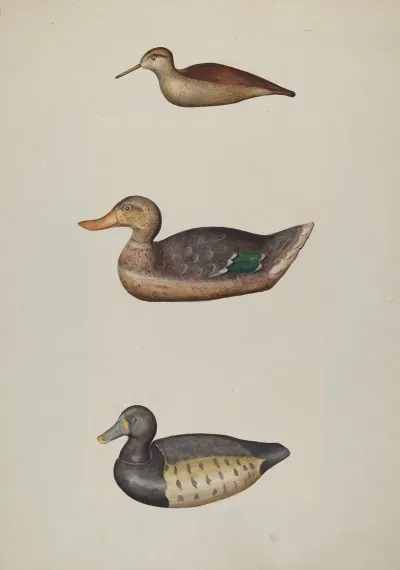 Three Decoy Ducks