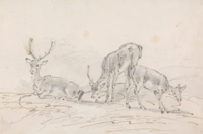 Three Deer