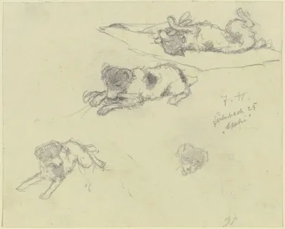 Three Dog Studies