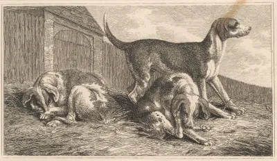 Three Dogs 3