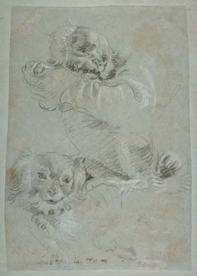Three Dogs