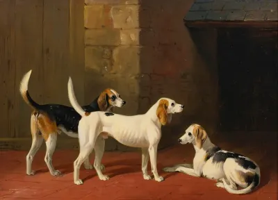 Three Fox Hounds In A Paved Kennel Yard