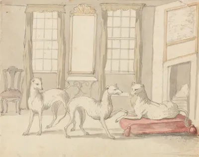 Three Greyhounds In A Room