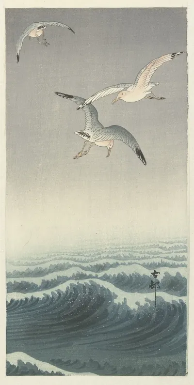 Three Gulls
