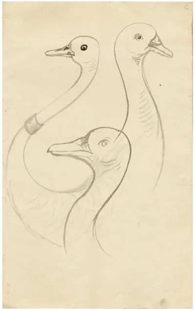 Three Heads Of Gooses Leaf Of A Sketchbook