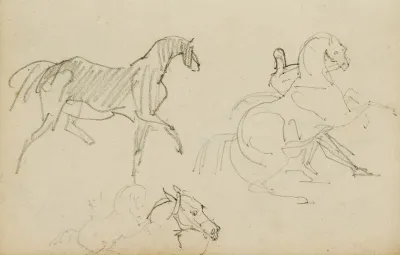 Three Horse Studies