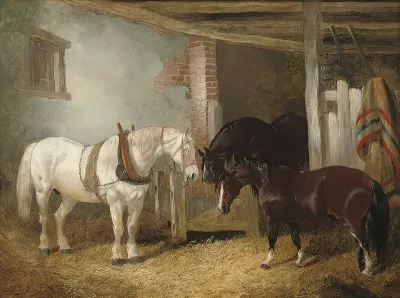 Three Horses In A Stable Feeding From A Manger