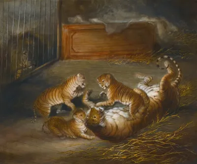 Three Liger Cubs Bred Between A Lion And A Tigress At The Royal Menagerie