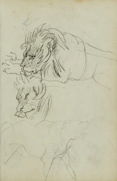 Three Lion Studies