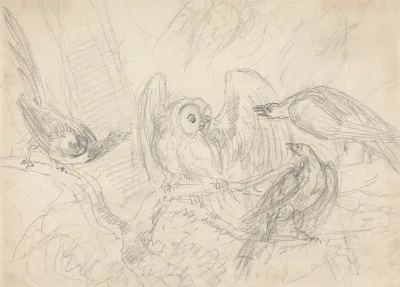 Three Pheasants Surrounding An Owl
