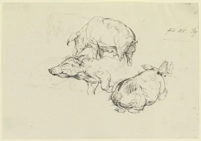 Three Pigs 2