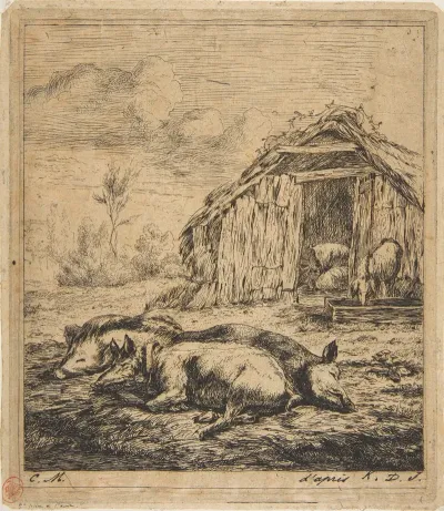 Three Pigs Lying In Front Of A Shed