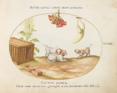 Three Puppies With A Crate And A Bunch Of Grapes