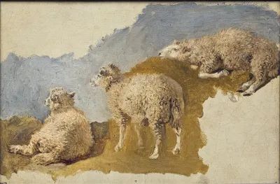 Three Sheep Study