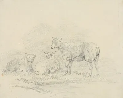 Three Sheep