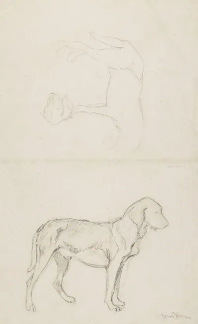 Three Studies Of A Dog