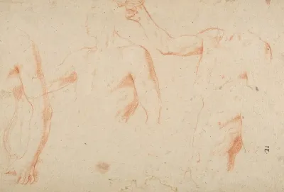 Three Studies Of A Male Torso For The Coronation Of Marcantonio Pasqualini