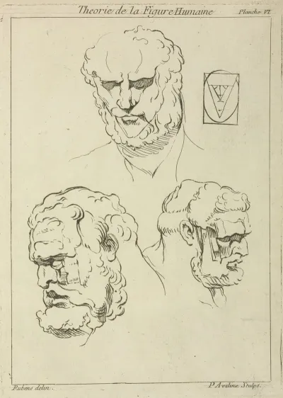 Three Studies Of A Mans Head And Beard
