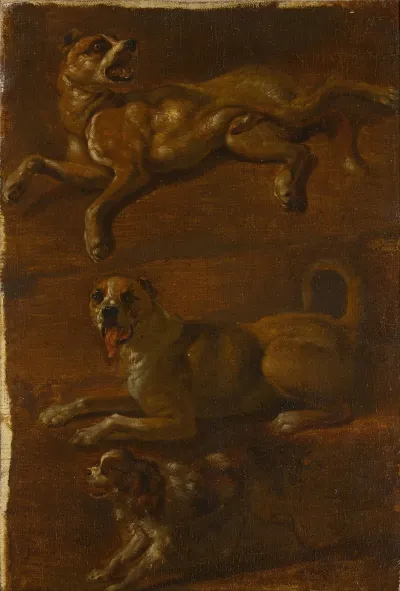 Three Studies Of Dogs