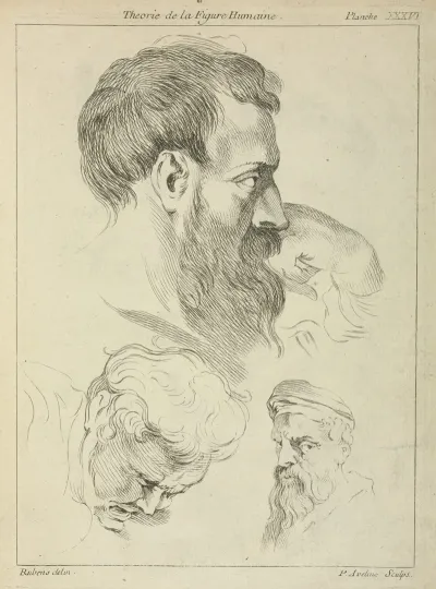 Three Studies Of Mens Heads