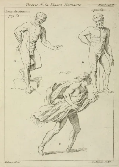 Three Studies Of The Figure
