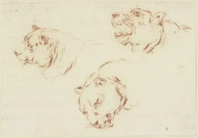 Three Tiger Heads
