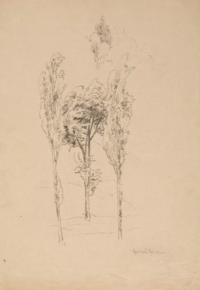Three Trees With A Mountain Skyline In The Background