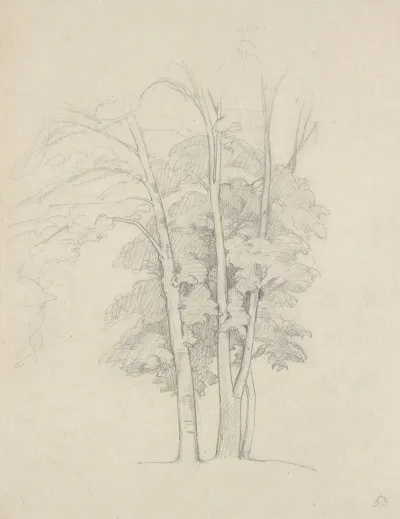 Three Trees