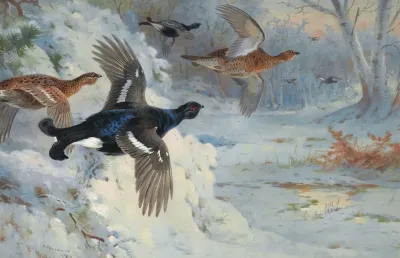 Through The Snowy Coverts Blackgame