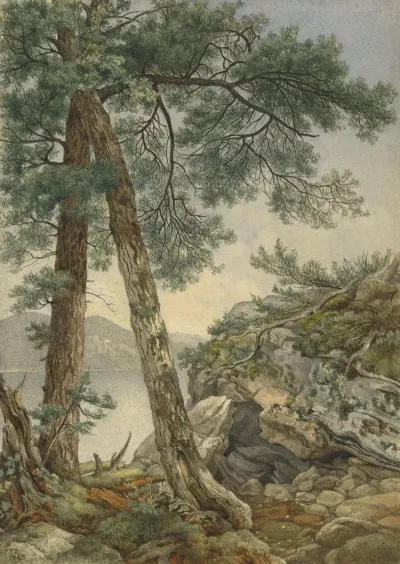 Through The Trees